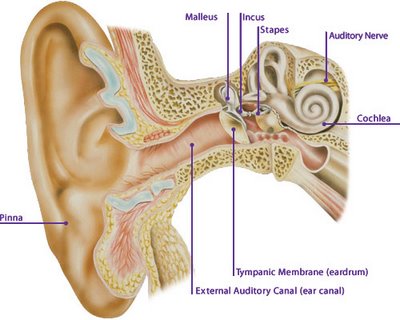 Ear problems in Diabetics
